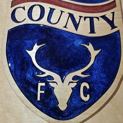 Ross County F.C. Handcrafted Wooden and Resin Crest - Image 5